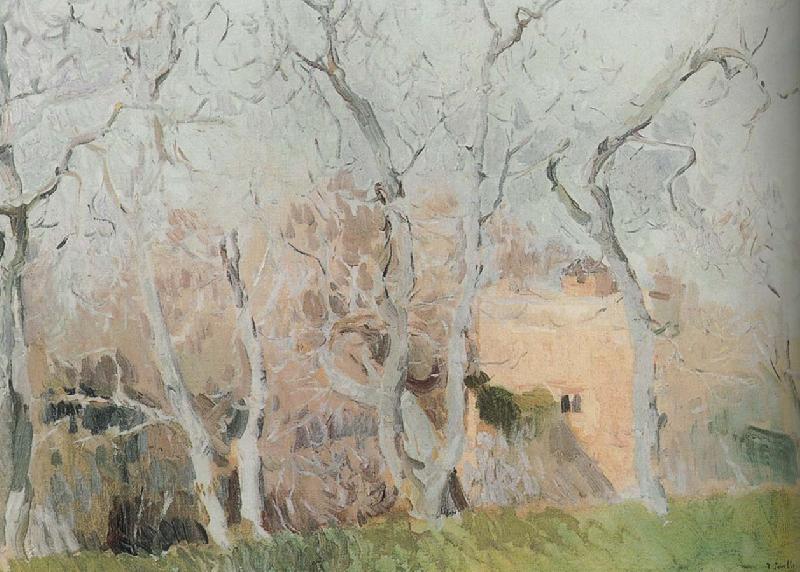 Joaquin Sorolla Fig tree